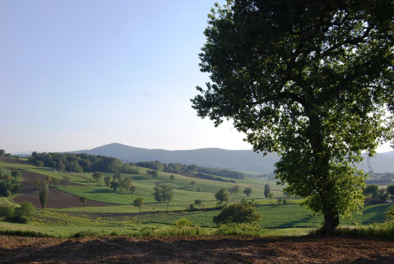Bilocale Verde Umbria Montecastrilli Bagian luar foto