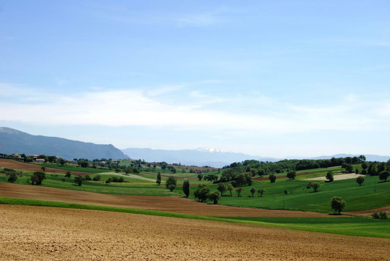 Bilocale Verde Umbria Montecastrilli Bagian luar foto