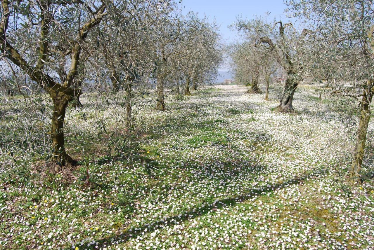 Bilocale Verde Umbria Montecastrilli Bagian luar foto
