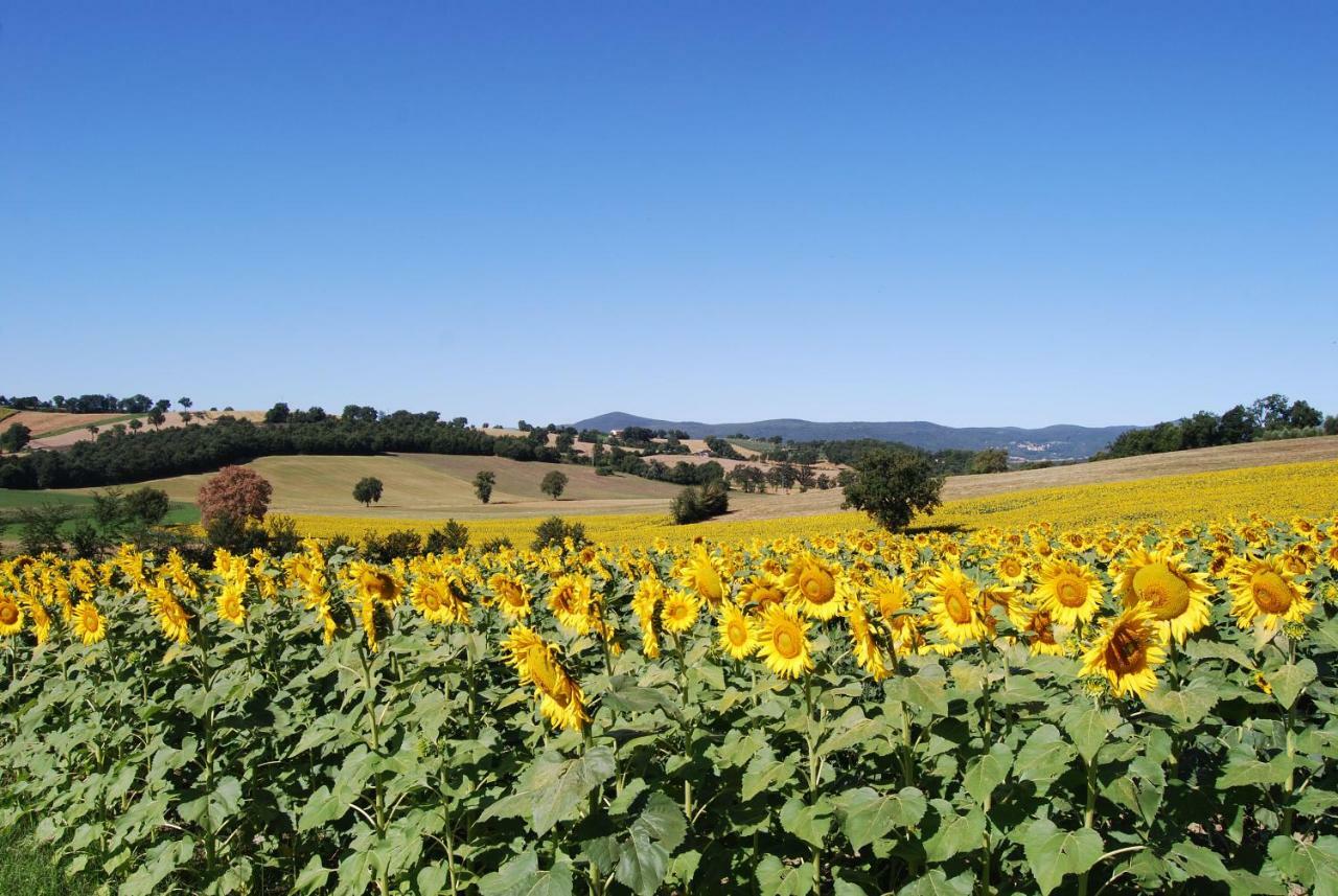 Bilocale Verde Umbria Montecastrilli Bagian luar foto